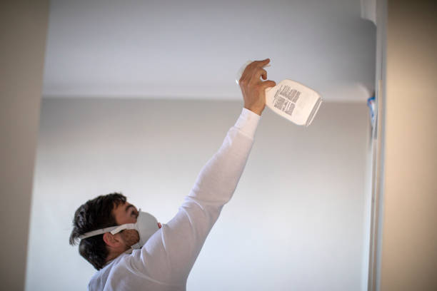 Best Attic Mold Remediation in Moss Point, MS